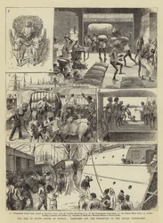 Der Krieg in Ägypten, Notizen in Bombay, Vorbereitung auf die Abreise des indischen Kontingents